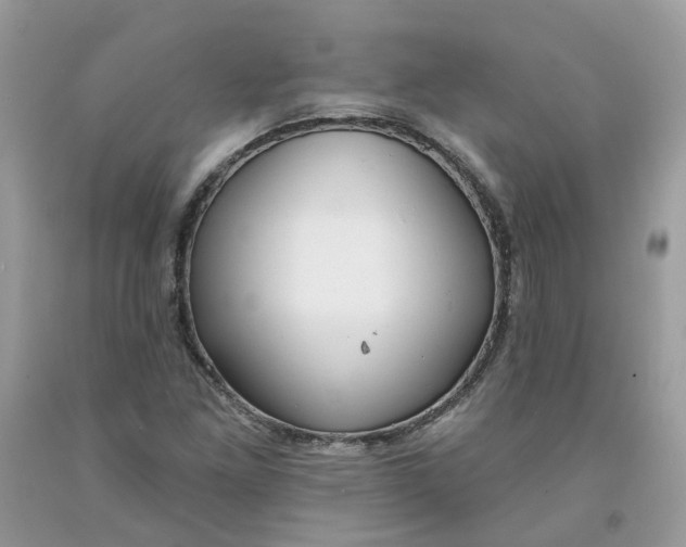 X0000091461261200709061749