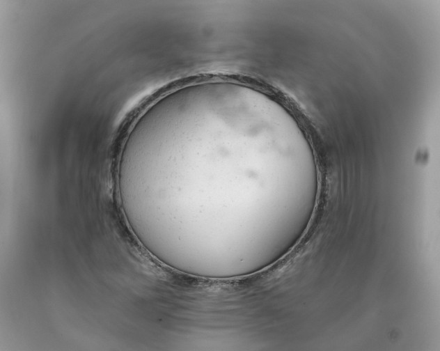 X0000091461262200709061749