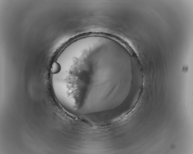 X0000091461263200709061749