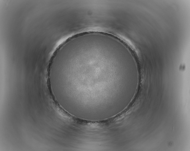 X0000091461264200709061749