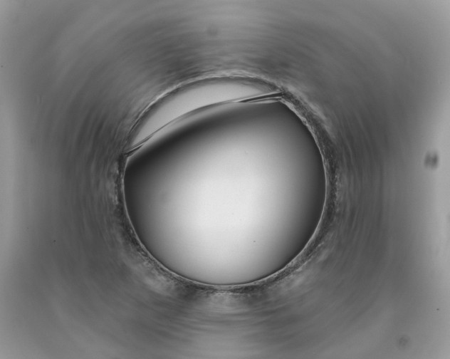 X0000091461265200709061749