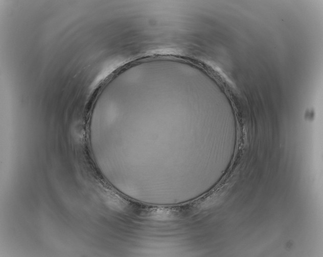 X0000091461266200709061749