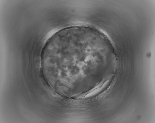 X0000091461267200709061749