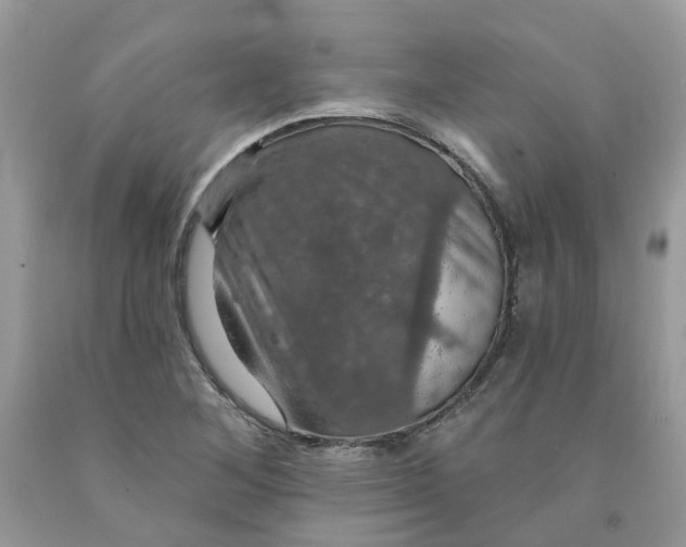 X0000091461268200709061749