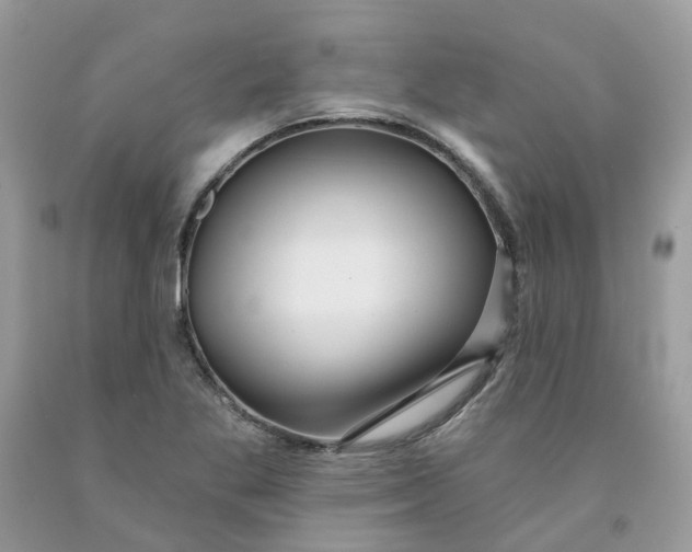 X0000091461269200709061749