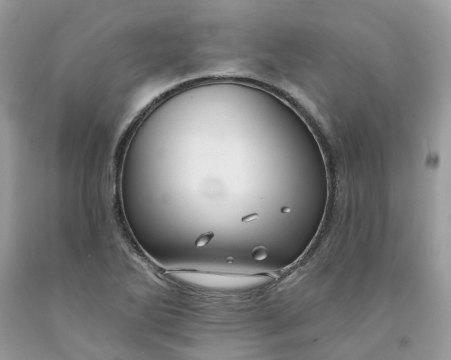 X0000091461270200709061749