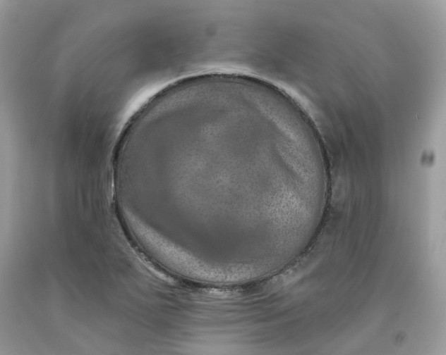 X0000091461271200709061748