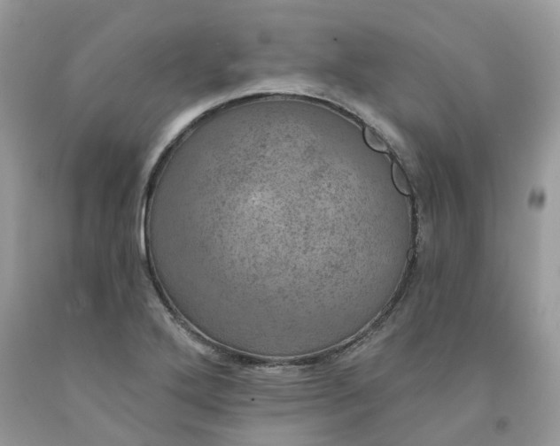 X0000091461272200709061748