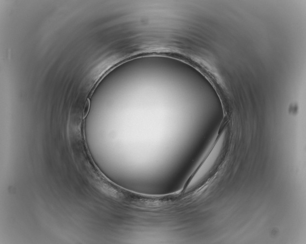 X0000091461273200709061748