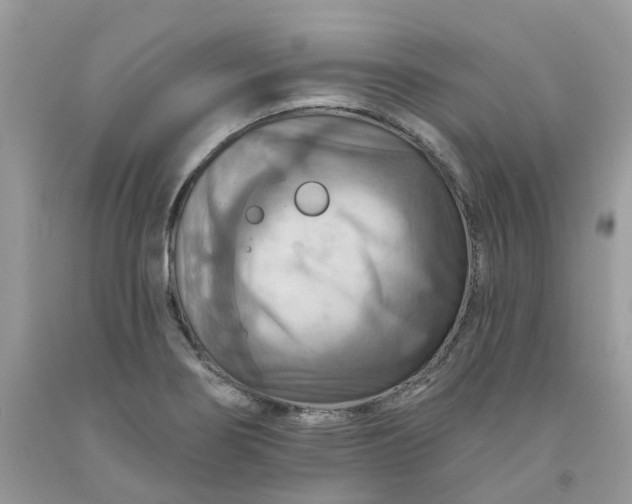 X0000091461274200709061748