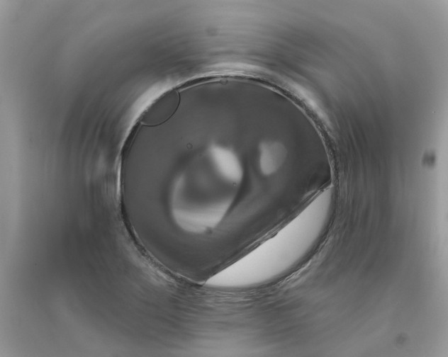 X0000091461275200709061748