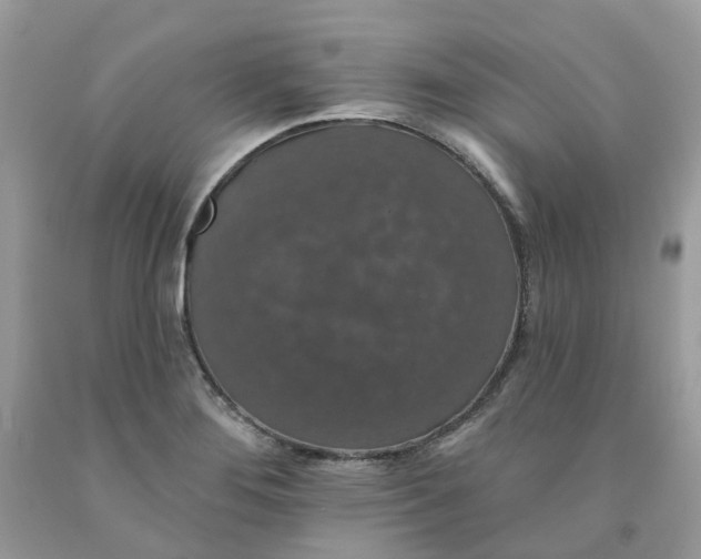 X0000091461276200709061748