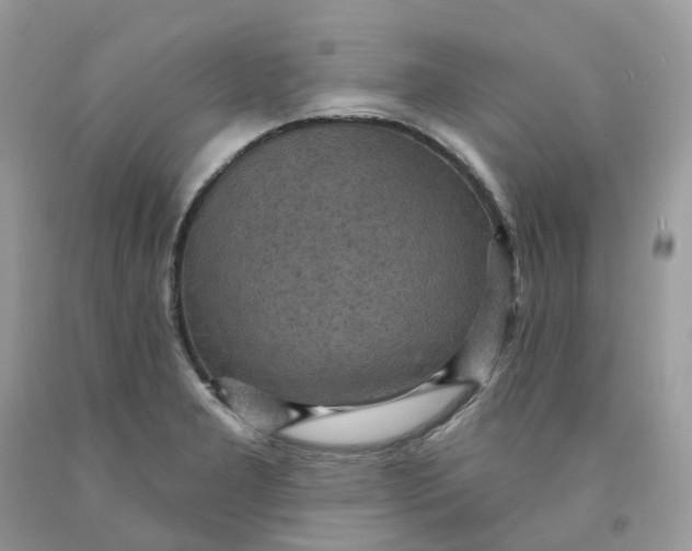 X0000091461277200709061748