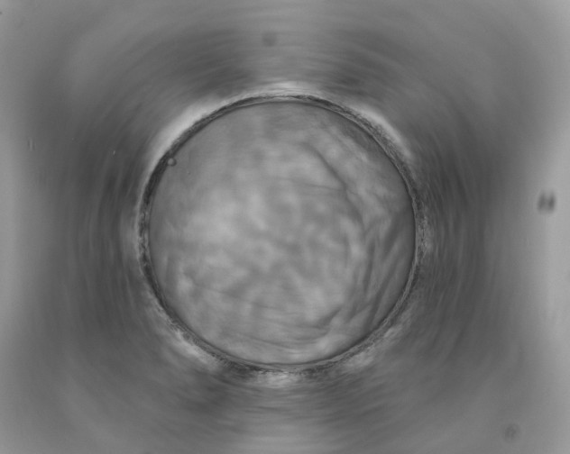 X0000091461278200709061748