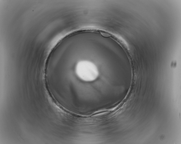 X0000091461279200709061748