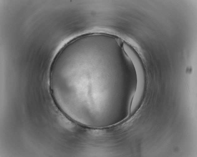 X0000091461280200709061748