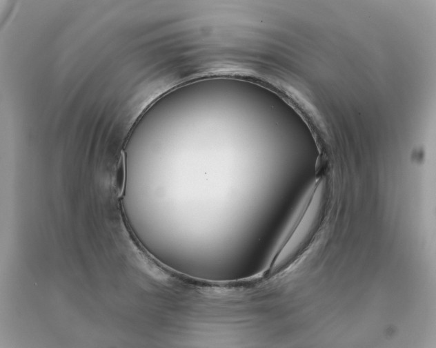 X0000091461281200709061748