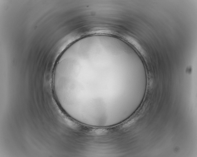 X0000091461282200709061748