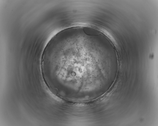 X0000091461283200709061748