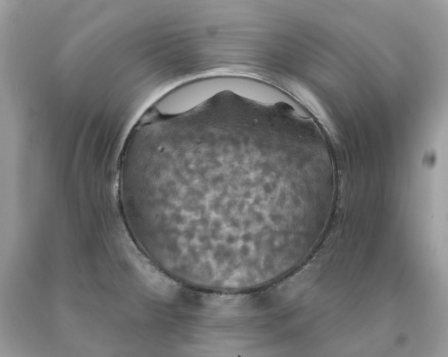 X0000091461284200709061748