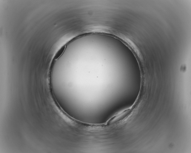 X0000091461285200709061748