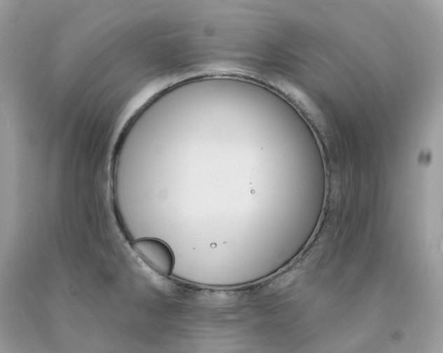 X0000091461286200709061748