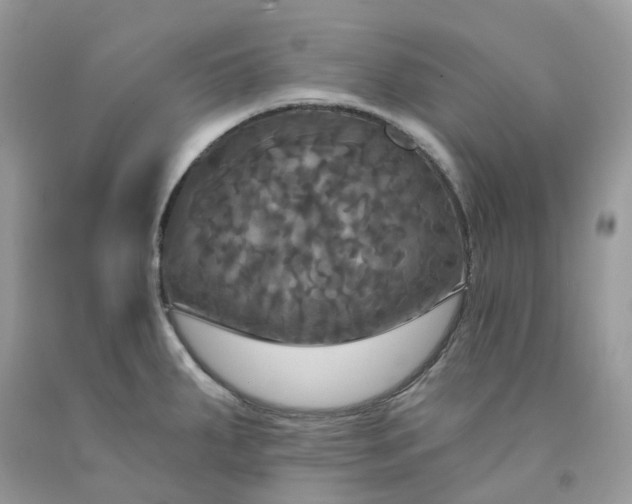 X0000091461287200709061748