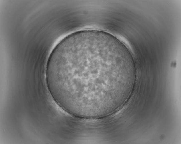 X0000091461288200709061748