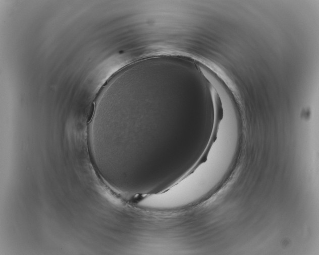 X0000091461289200709061748