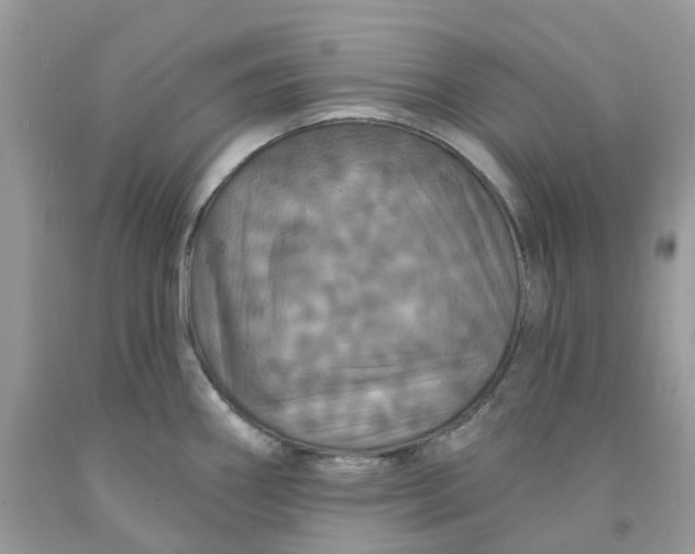 X0000091461290200709061748