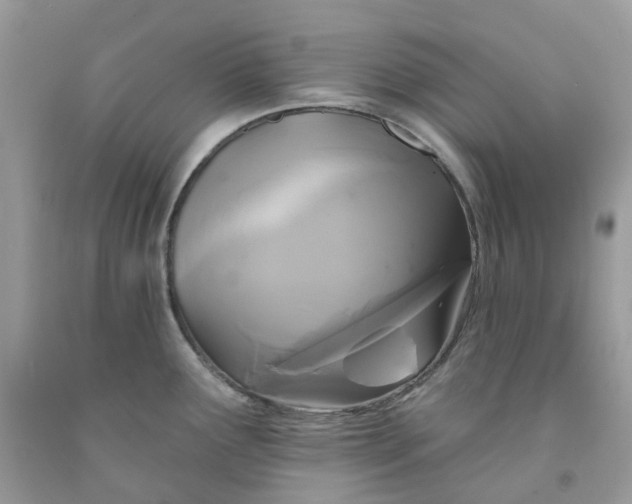 X0000091461291200709061748