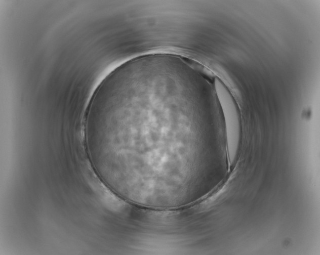 X0000091461292200709061748