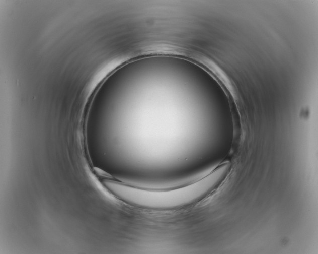 X0000091461293200709061748