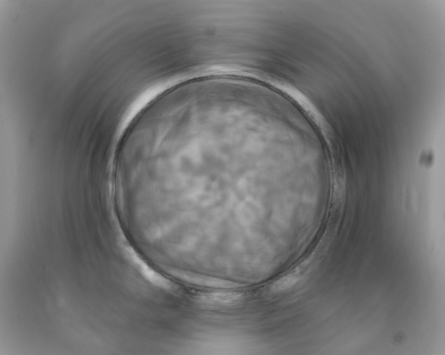 X0000091461294200709061748