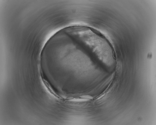 X0000091461295200709061748