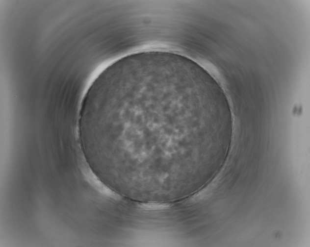 X0000091461296200709061748