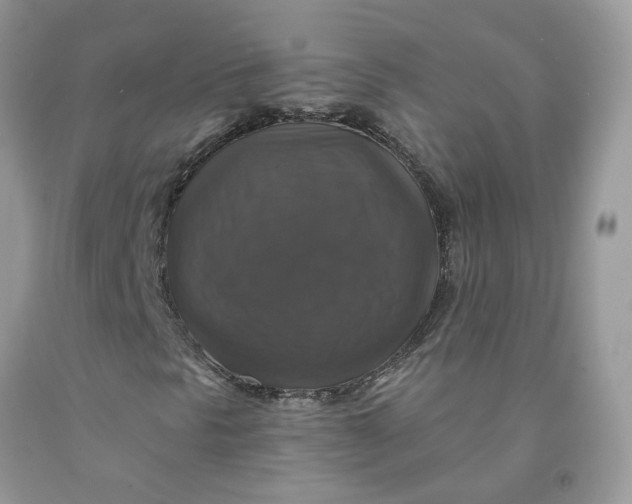 X0000091461297200709061748