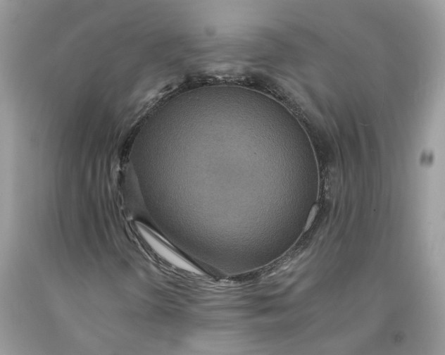 X0000091461298200709061748