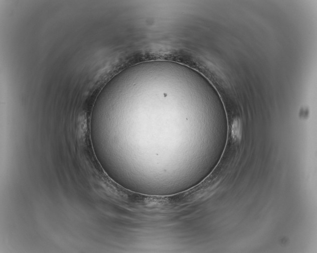 X0000091461299200709061748