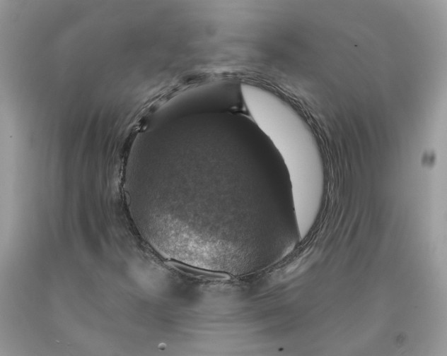 X0000091461300200709061748