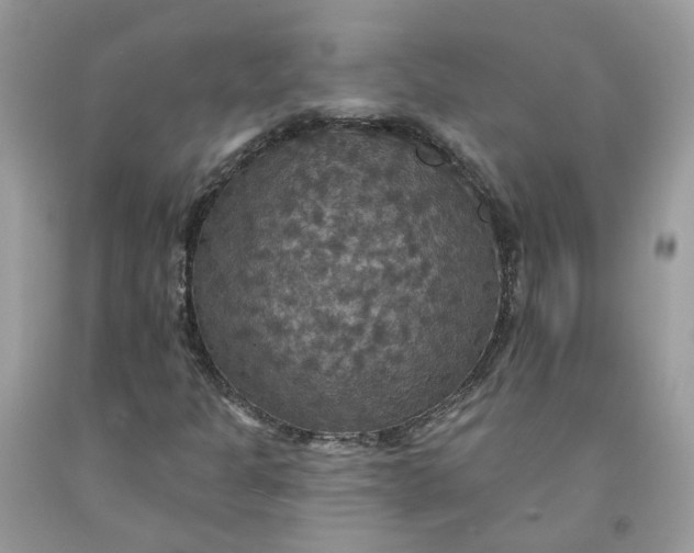 X0000091461301200709061748