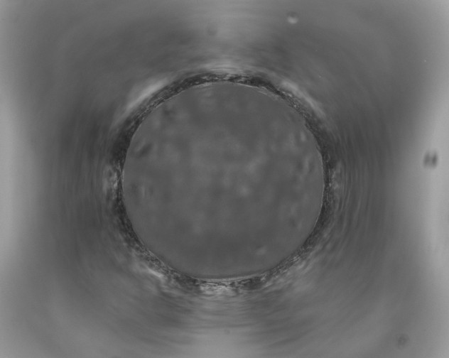 X0000091461302200709061748