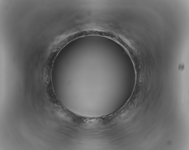 X0000091461303200709061748