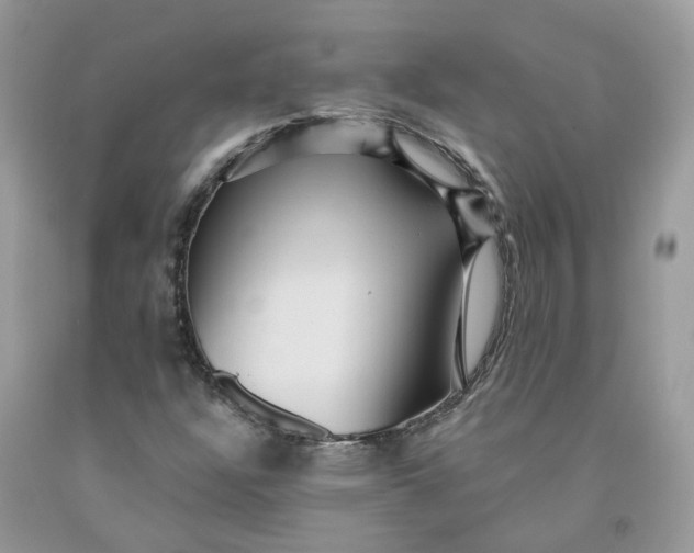 X0000091461304200709061748