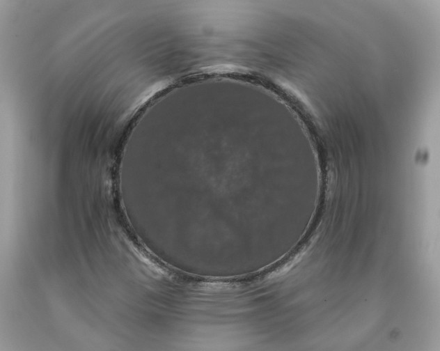 X0000091461305200709061748