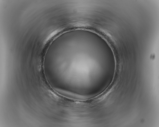 X0000091461306200709061748