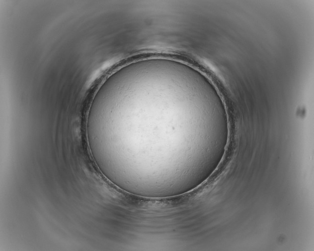 X0000091461307200709061748