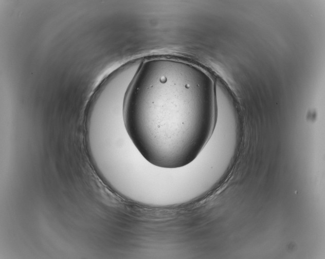 X0000091461308200709061748