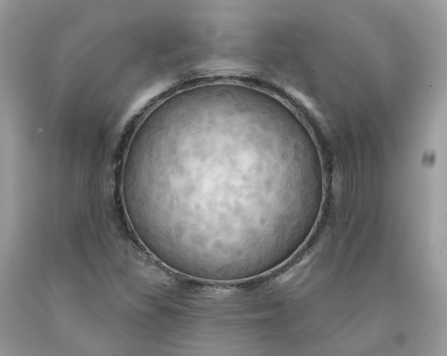 X0000091461309200709061748