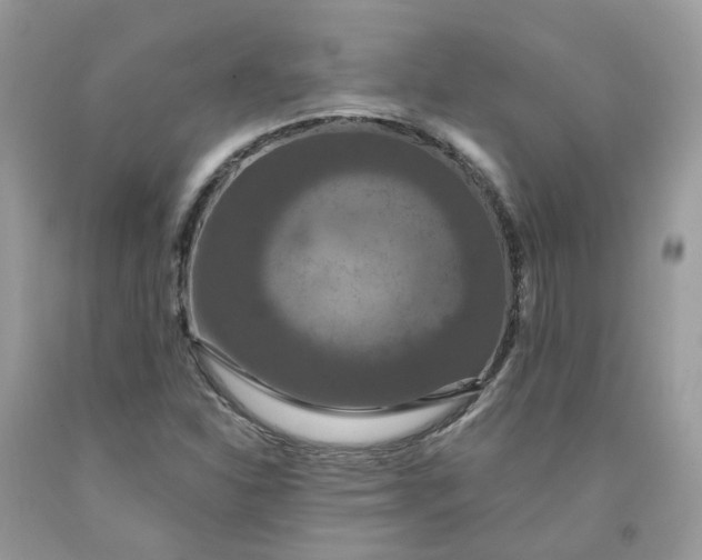 X0000091461310200709061748